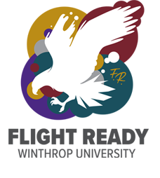 Flight Ready Logo