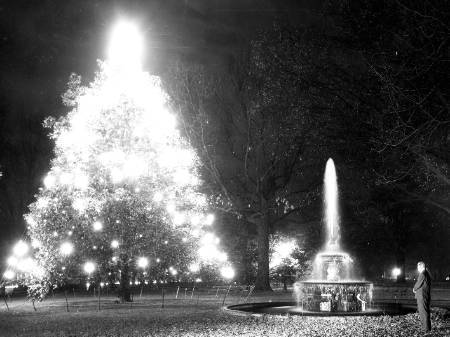 black and white photo of the magnolia tree lit for the holidays with the fountain
                     in the foreground