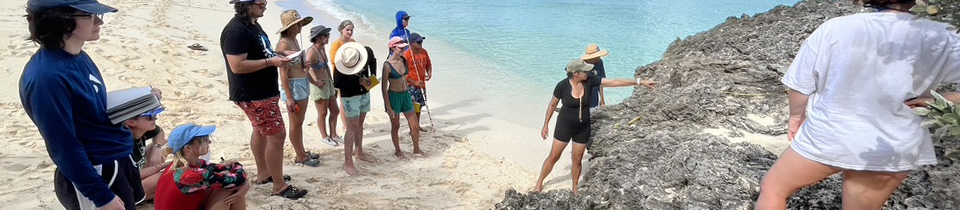 GEOL 345 students examine the geology of the Bahamas.