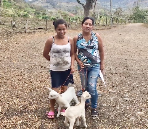 Rocha Goats with Family