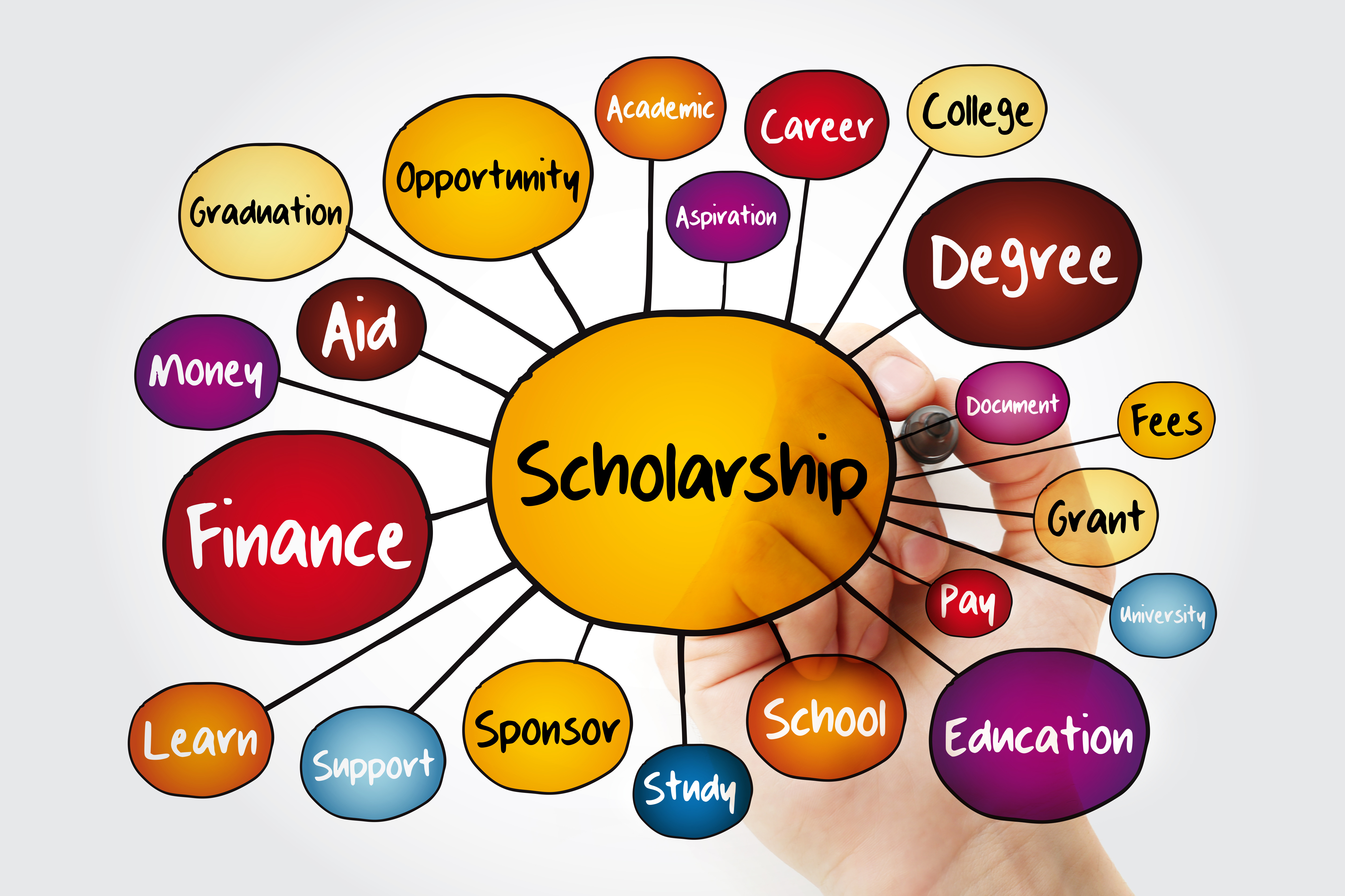 scholarship bubbles with various words