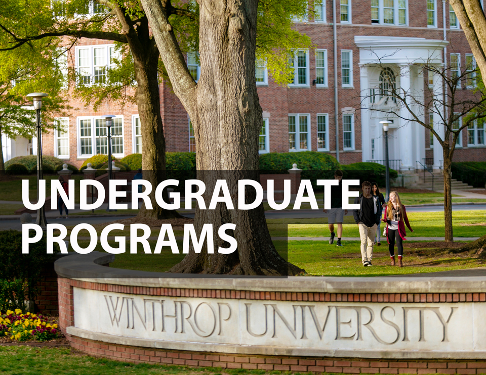 undergraduate programs
