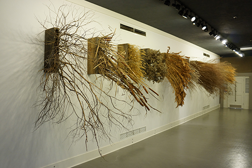 an art installation in the gallery