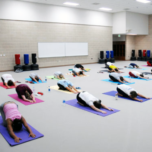 Yoga group fitness class