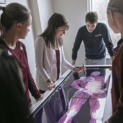 A group of people looking over a virtual dissection table
