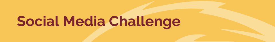 Social Media Challenge