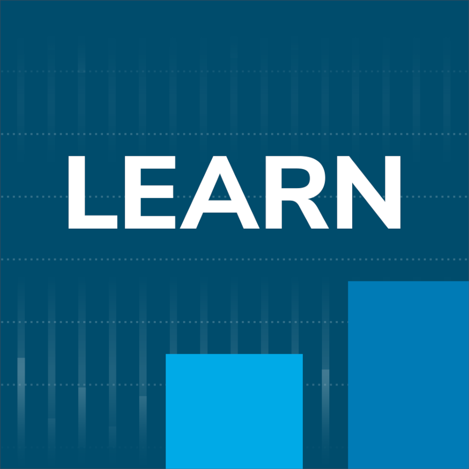 Learn Logo Image