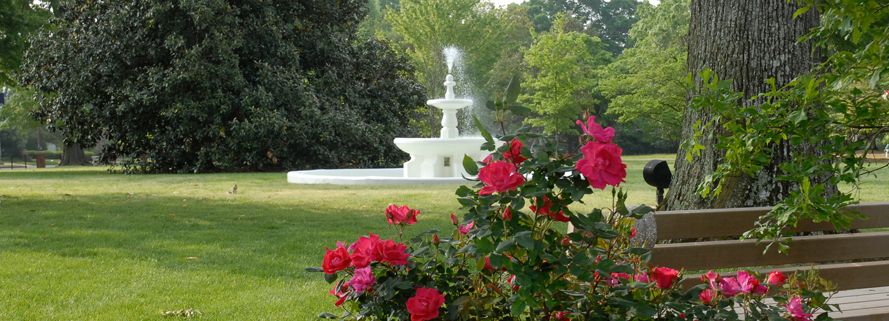 Fountain and Flowers