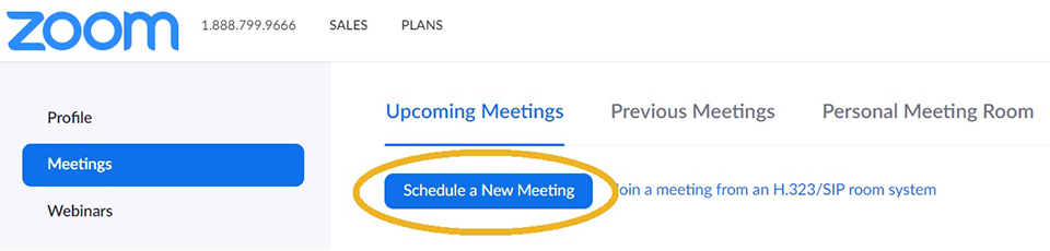 Schedule Zoom Meeting Web