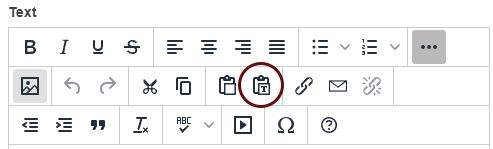 screenshot of the text editor toolbar with the paste as text icon circled